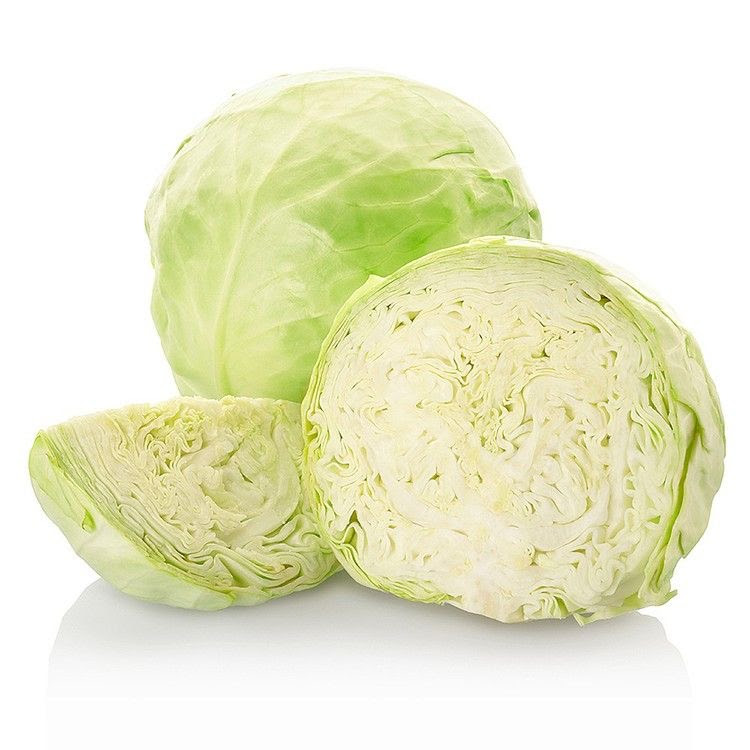 Zelí